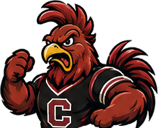 South Carolina logo